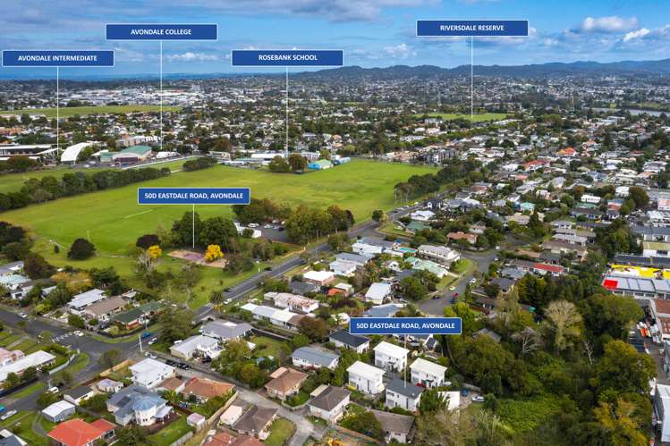 50d Eastdale Road Avondale_15