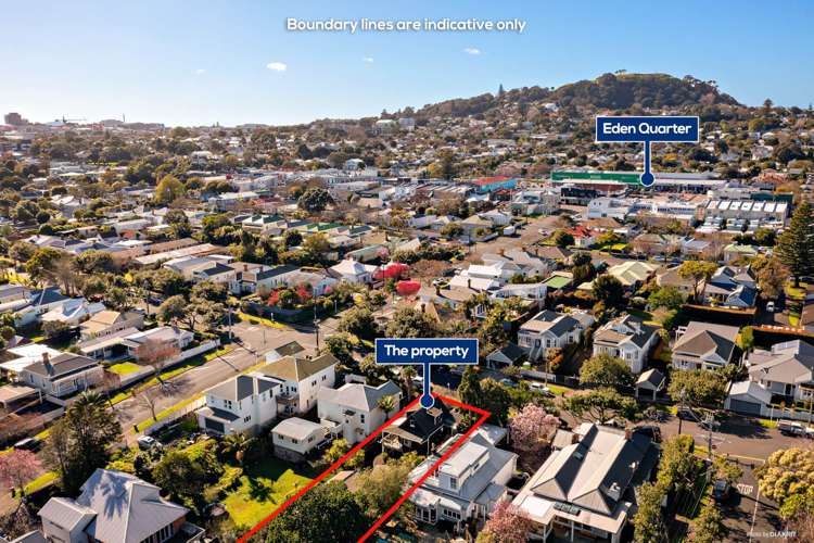 49a Marlborough Street Mount Eden_12