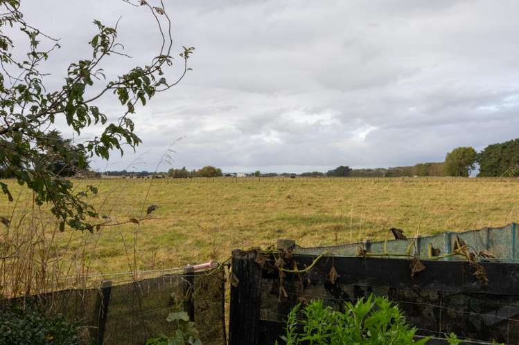 1200 Rangitikei Line Newbury_4