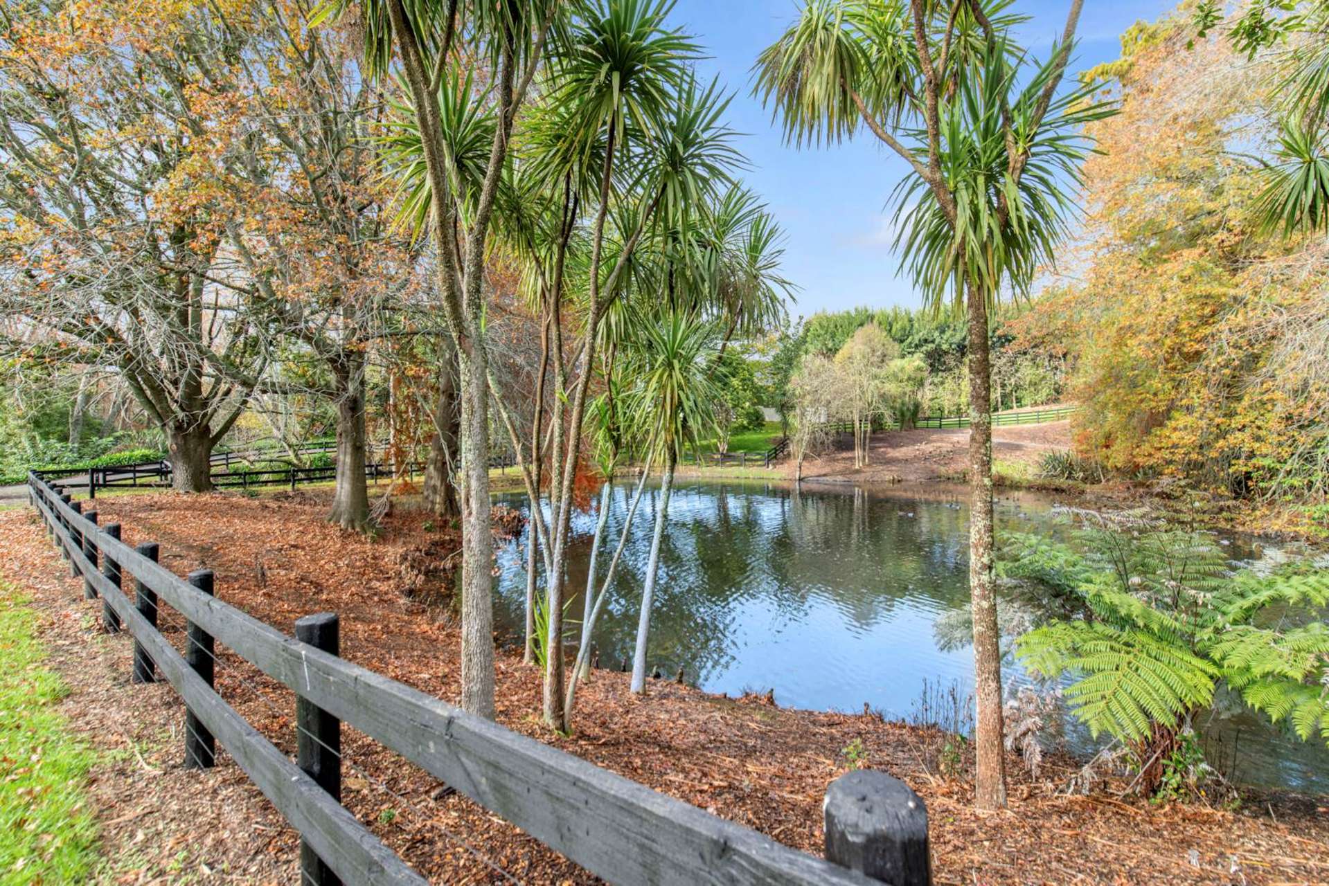 Woodlyn Drive Karaka_0