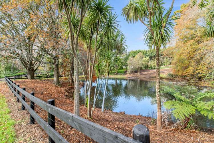 Woodlyn Drive Karaka_11