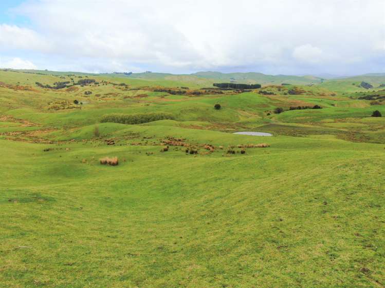 1137 Wimbledon Road Porangahau_9