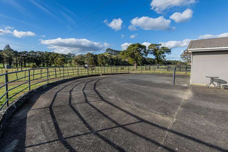 243 Harris Road Glenbervie_22