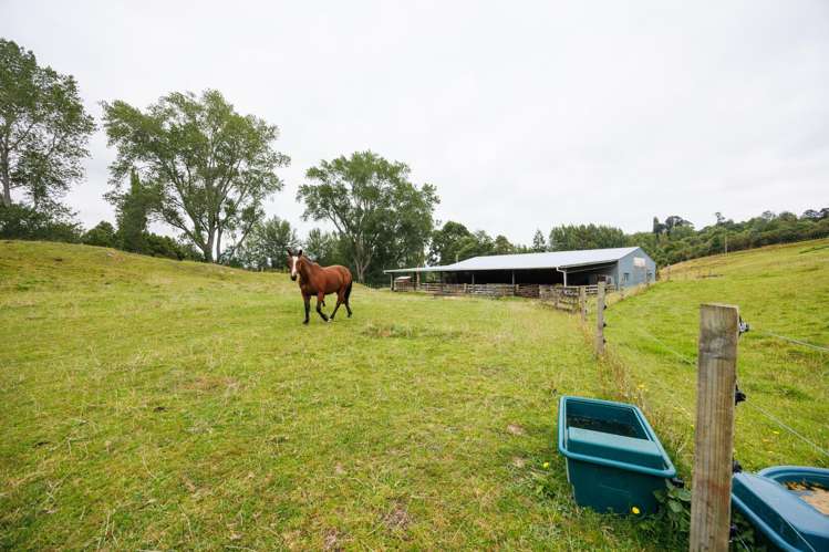 29 Kuku Road Pohangina_42