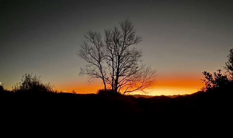 46 Ngawhatu Road Stoke_25