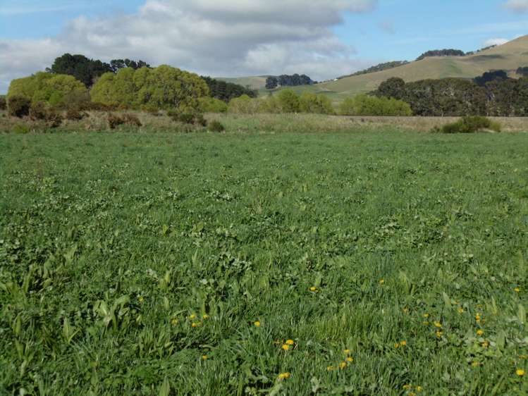 5326 Hampden-Palmerston Road Palmerston_5