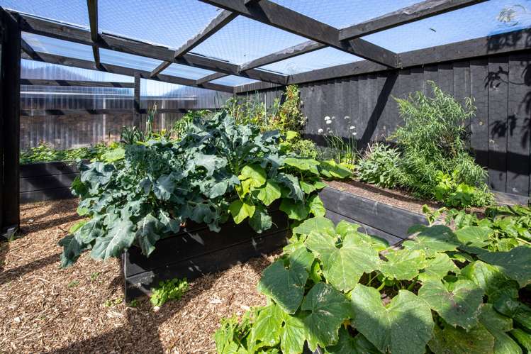 20 Newbrook Terrace Darfield_18