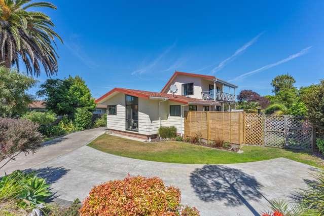 Coastal Stunner Near Otaki Beach