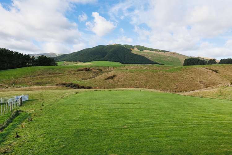 34 Highland View Drive Tokomaru_15