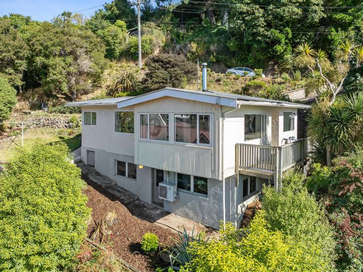 51 Buccleugh Street North East Valley_14