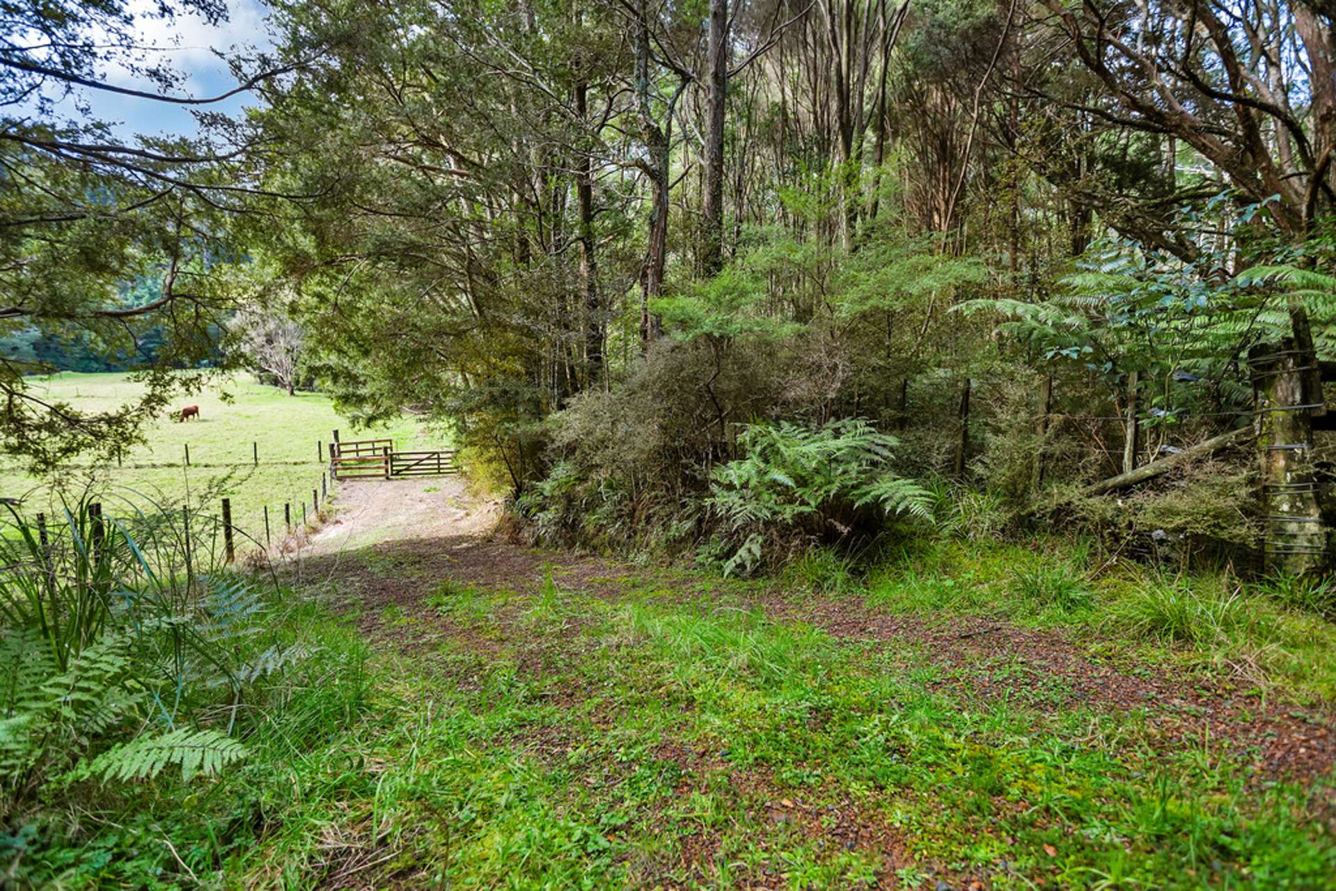 40 Waiparera Road Parua Bay_0