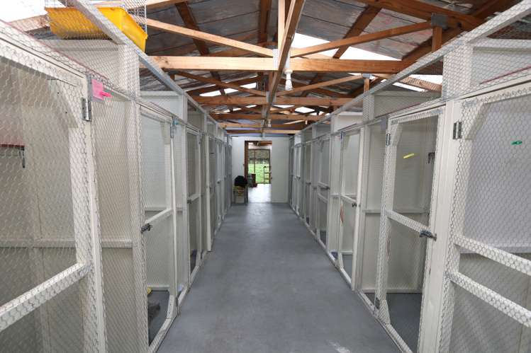 18 Thews Road Tinwald_15