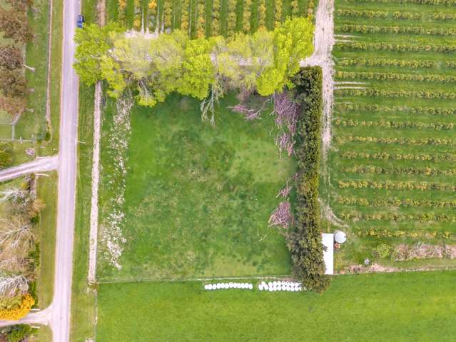 15 Bond Road Ormond_2