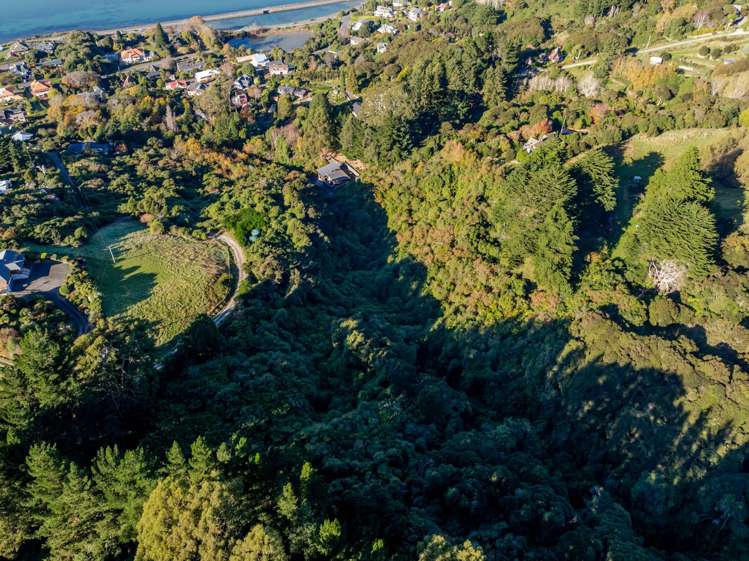 31 Tui Street Saint Leonards_11
