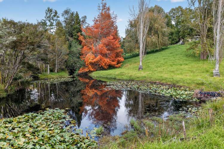 95 Marshall Road Kaiwaka_9