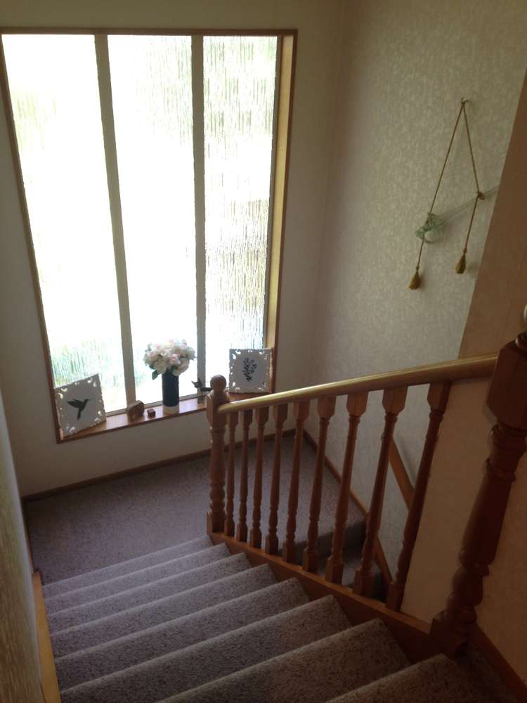 31 Davidson Street Allenton_5