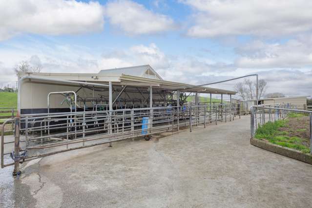 703 Bayley Road Te Awamutu_2