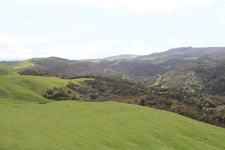 13151 Puketawa Road Tiraumea_21