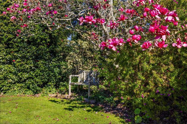 35 Smith Street Waverley_30