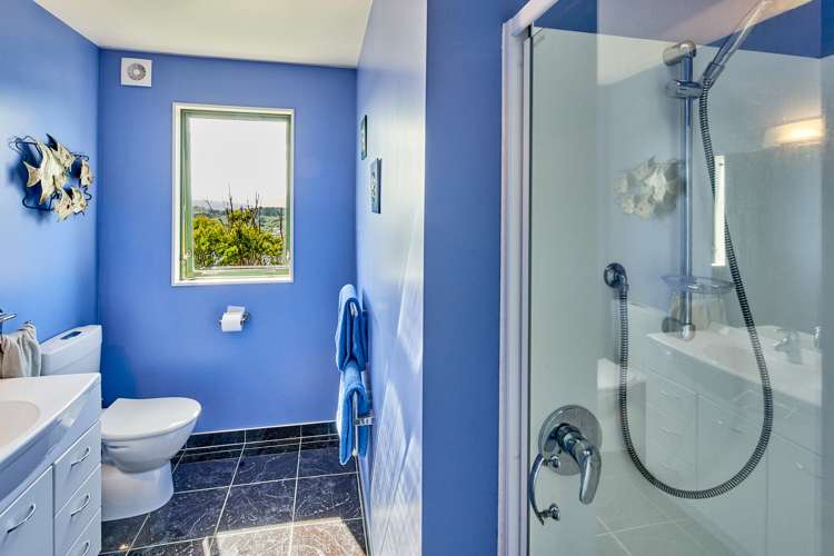 2 Pearce Street Vogeltown_14