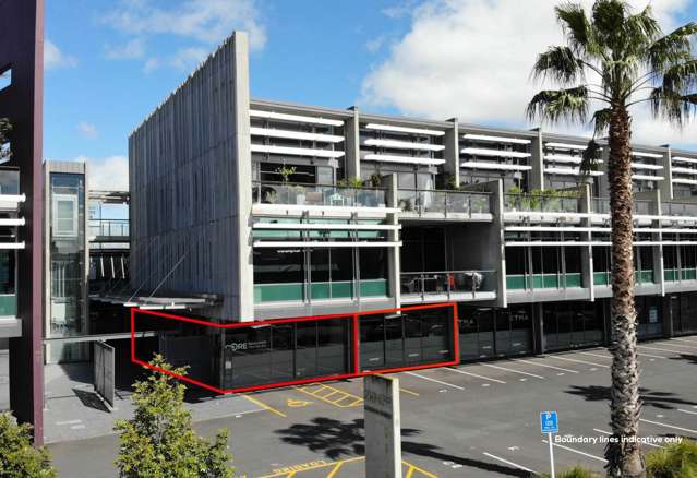 GROUND FLOOR MT EDEN OFFICES