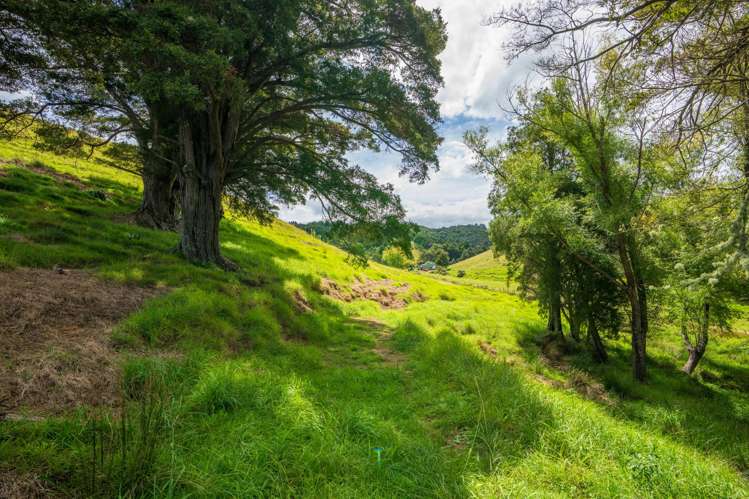 64 Ross Road Parua Bay_42