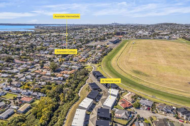 36 Tamora Lane Avondale_15