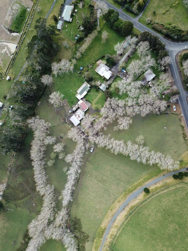 654 Inland Road Helensville_5