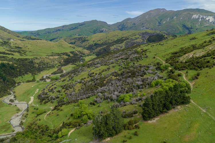 1505 Peggioh Road Ward_20