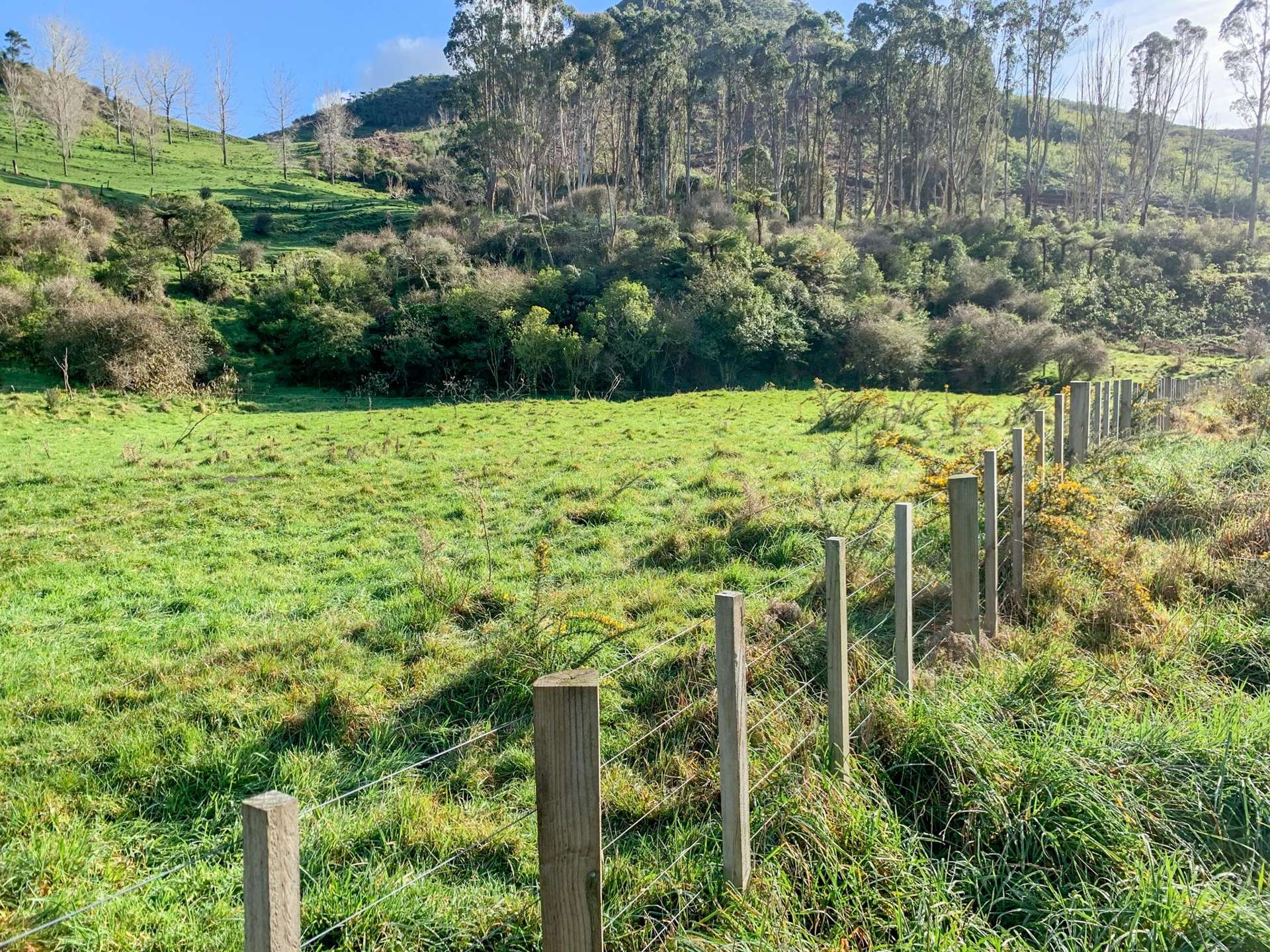 118 Reservoir Road Waihi_0