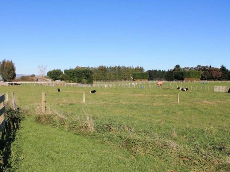 89 Umutaoroa Road Dannevirke_14