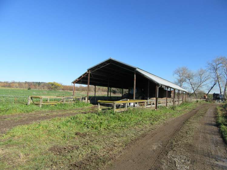 51 Walker Road Otane_5