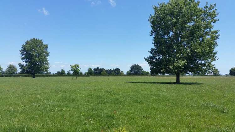 201 Steele Road Manawaru_16