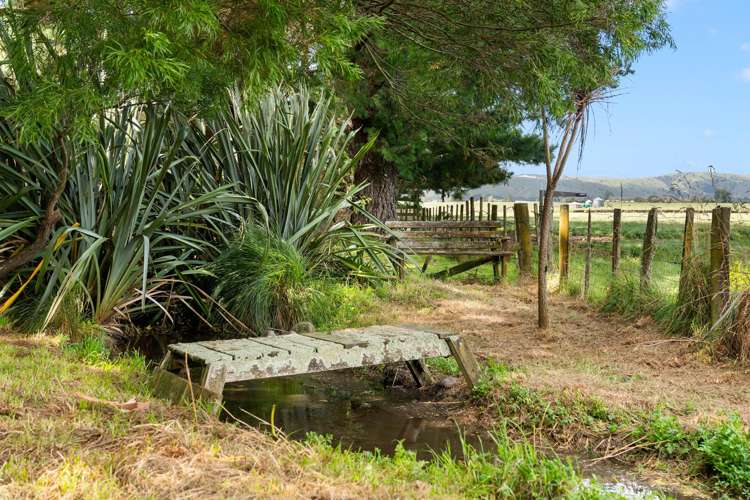 24 Papawai Road Greytown_31