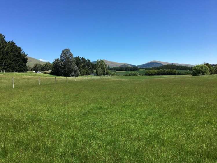 308 Waiwera Station Road Clinton and Surrounds_1