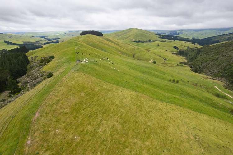 83 Towai Road Dannevirke_18