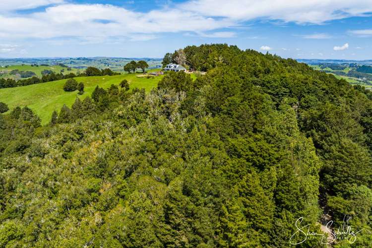 338 Wairere Road Paparoa_47