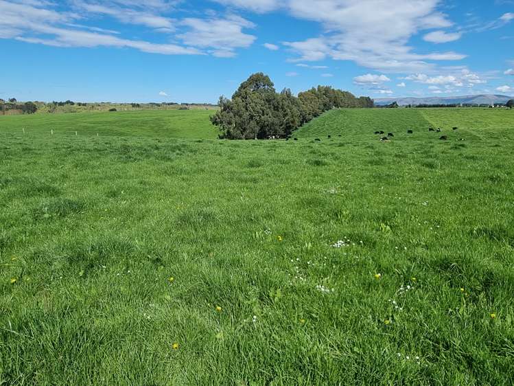 1794 Clydevale Road Clinton and Surrounds_4