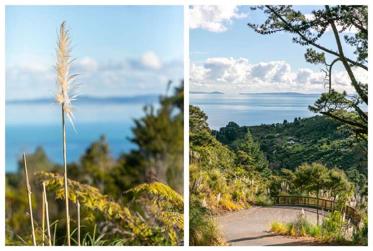 85 Tapu Rise Heights Tapu_37