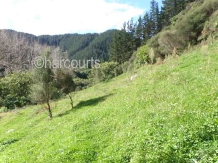 102 Pakihi Road Opotiki Coastal_26