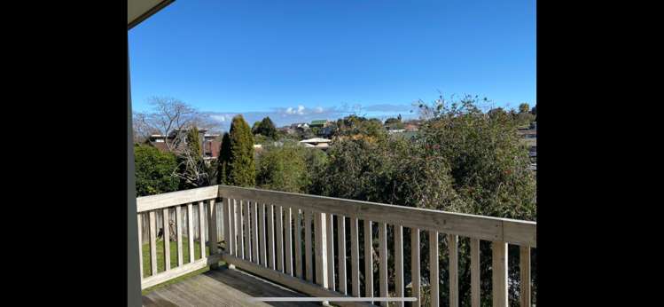 17a Thomson Avenue Dinsdale_6