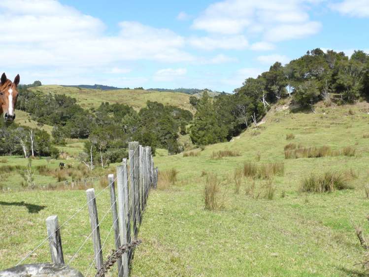 1327 Pupuke Mangapa Road Kaeo_11