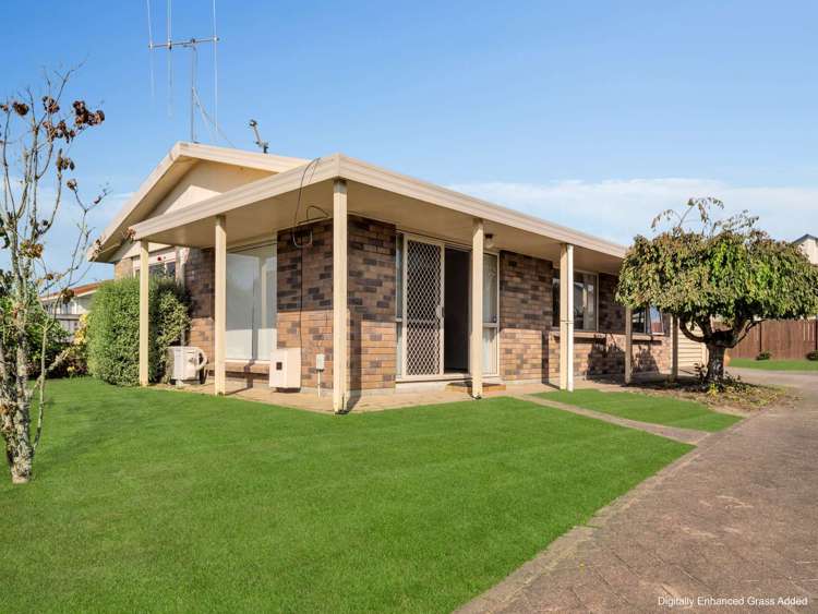 115 Dominion Road Nawton_12