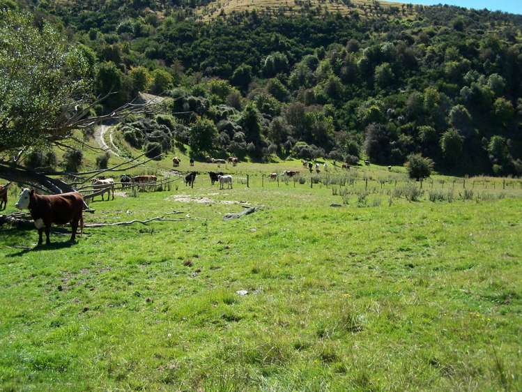 86 West Maerewhenua Road North Otago Surrounds_11