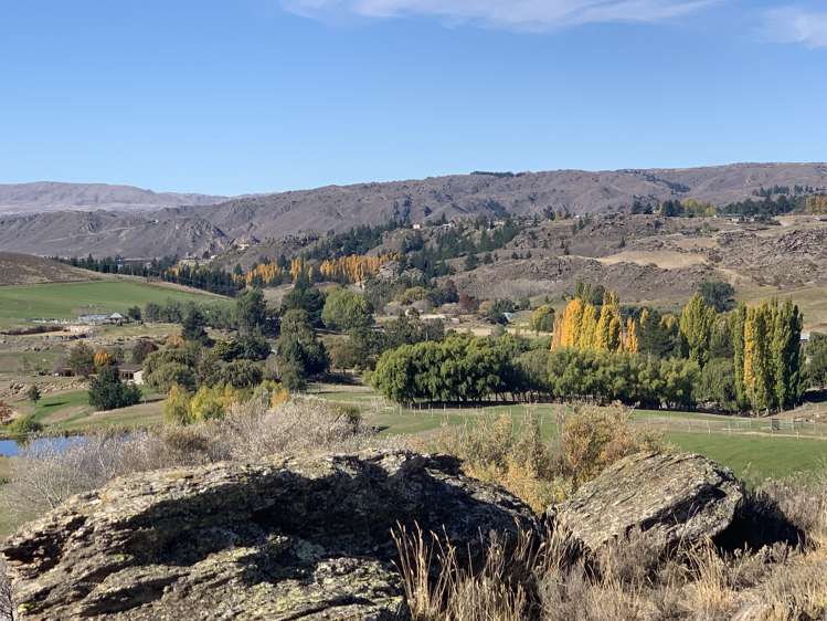 196 Chapman Road Alexandra_19