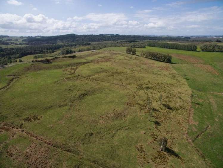 137 Sanson Road Ruawaro_26