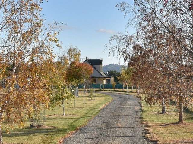 315 Foothills Road Okuku_1