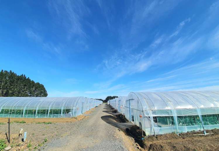 7 Ridge Road Tuakau_12