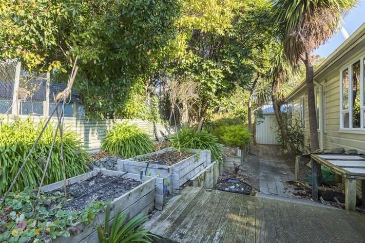 19 Sussex Street Picton_7