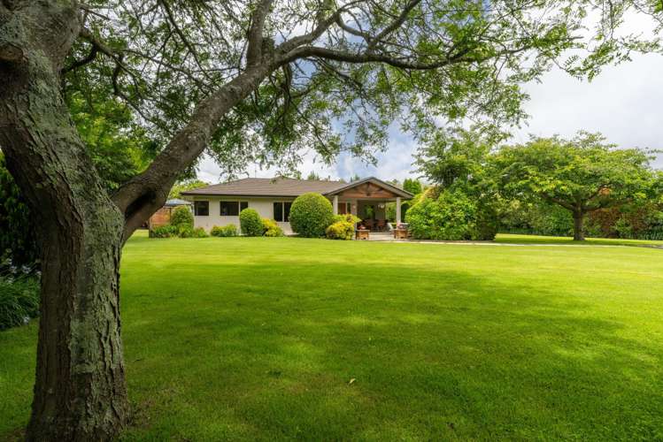 64 Lea Grove Levin_48